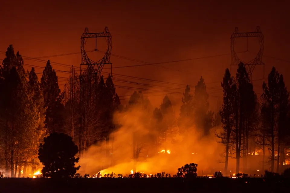 Wildfire burning under power transmission towers and large trees at night.